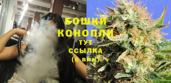 стаф Богородицк
