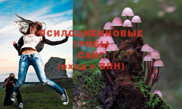 хмурый Богданович